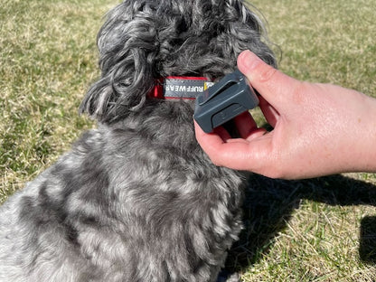 NanoGuard | Mini GPS - Rechargeable Real Time Pet Tracker